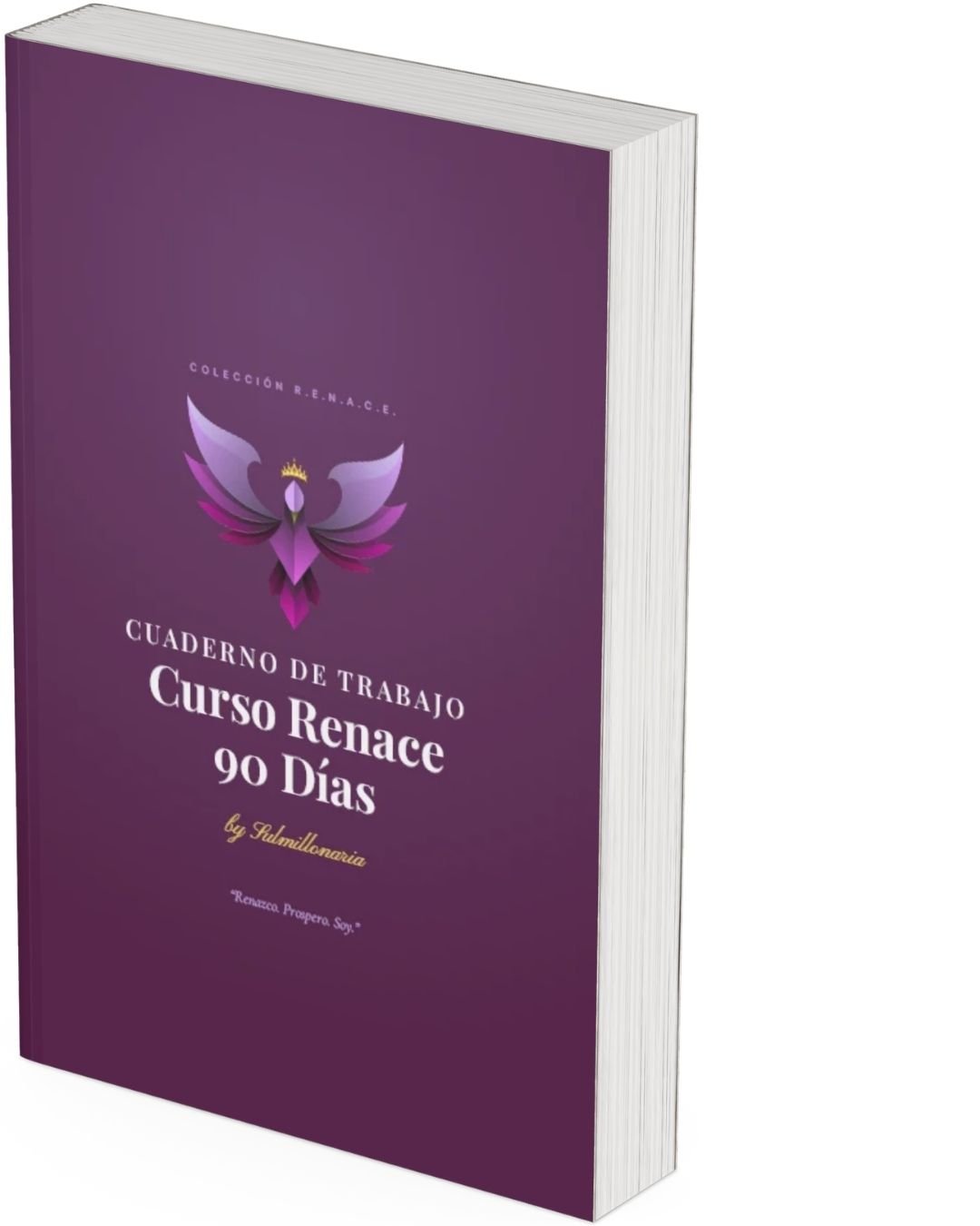 Curso Renace 90 Días - Imagen 2